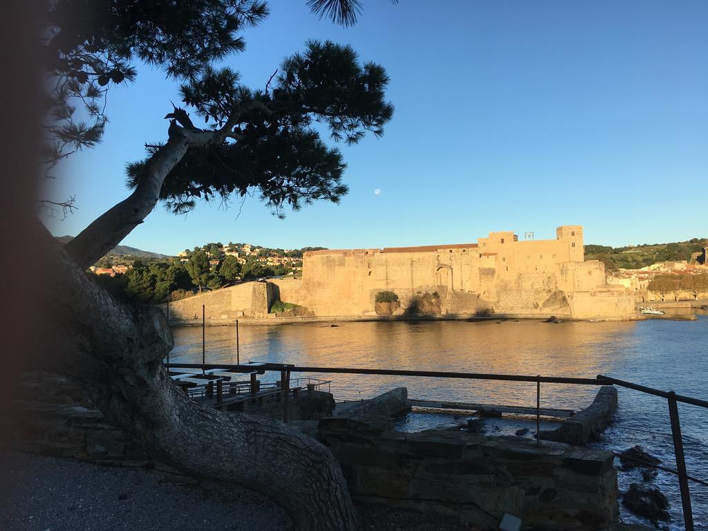 Un Balcon Sur La Mer Port Vendres Exterior photo